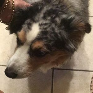 Meet your Posher, Claudine